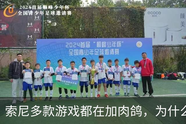 索尼多款游戏都在加肉鸽，为什么《地平线：西之绝境》被点名跟进？